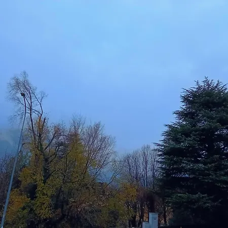 Del Bosco E Del Elimar