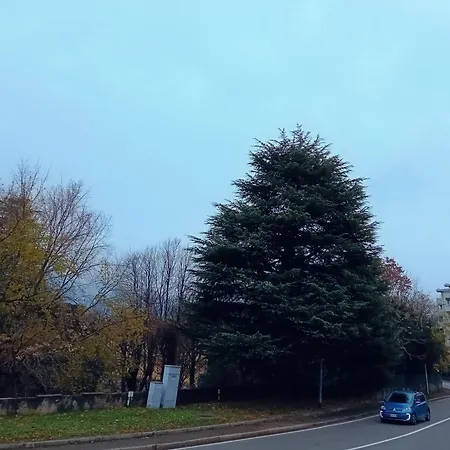 فندق مبيت وإفطار Del Bosco E Del Elimar ليكو